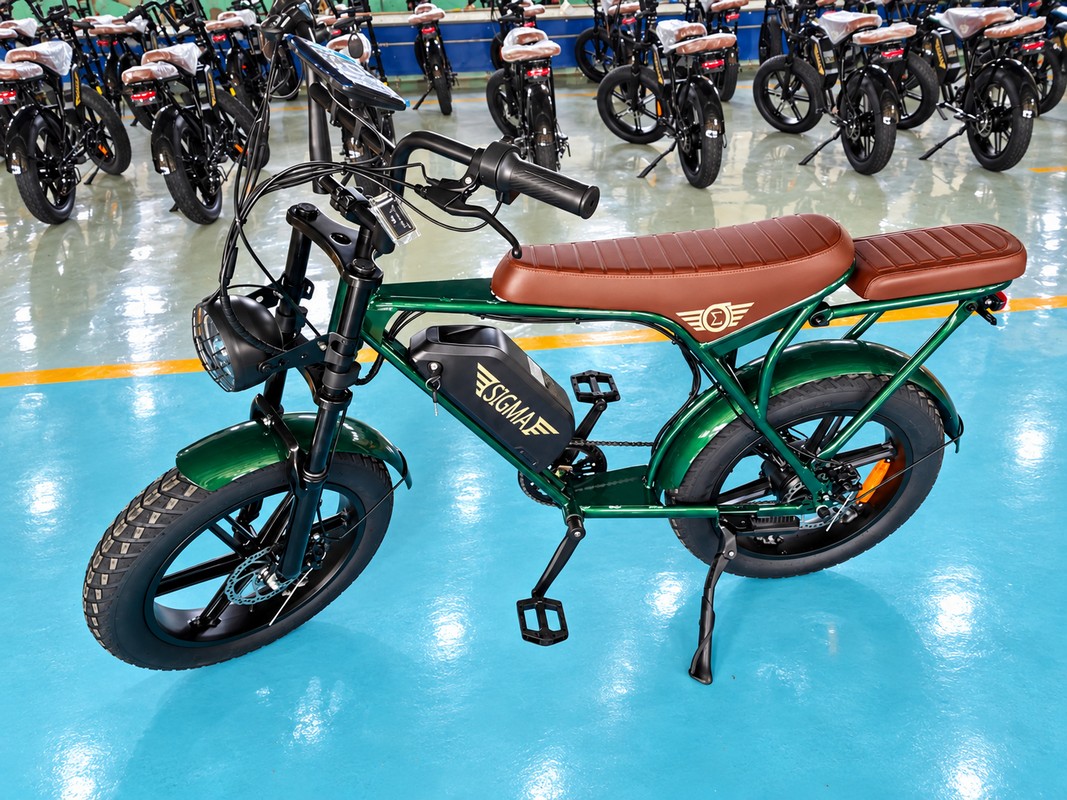 Bicicleta SIGMA verde en control de producto