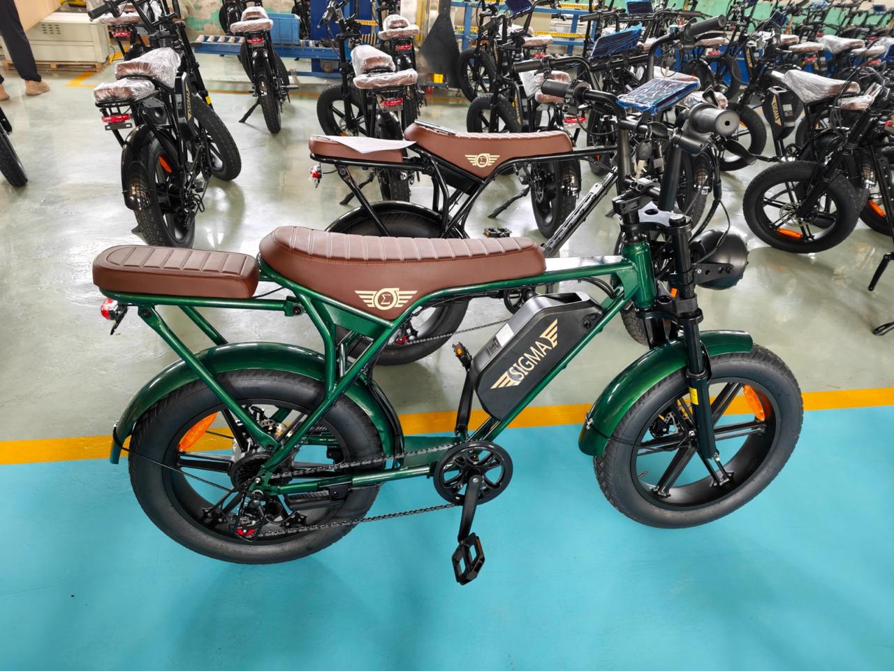Bicicleta eléctrica SIGMA verde, vista lateral